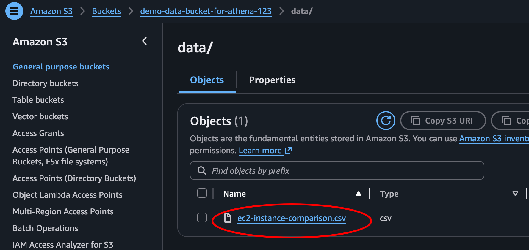 S3 console showing the csv file