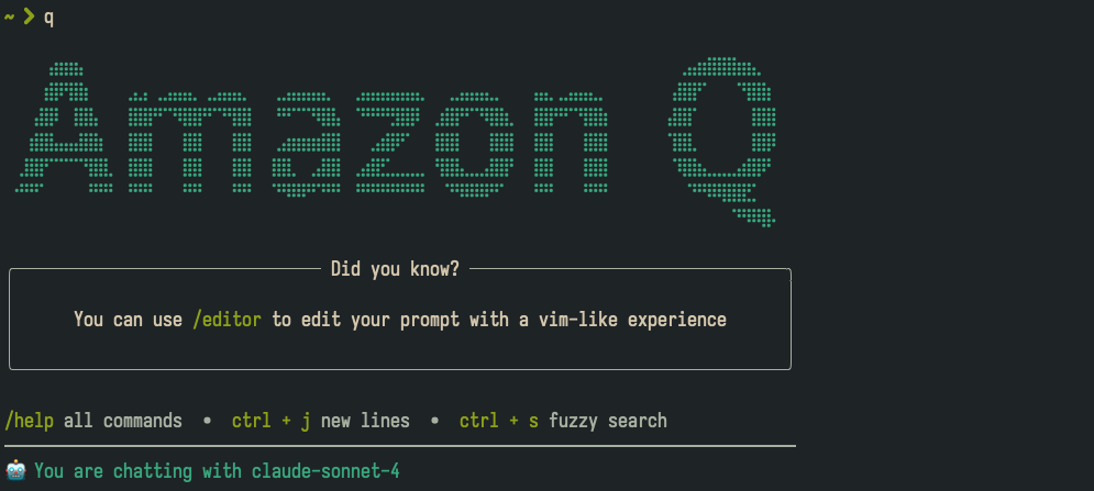 Amazon Q Developer